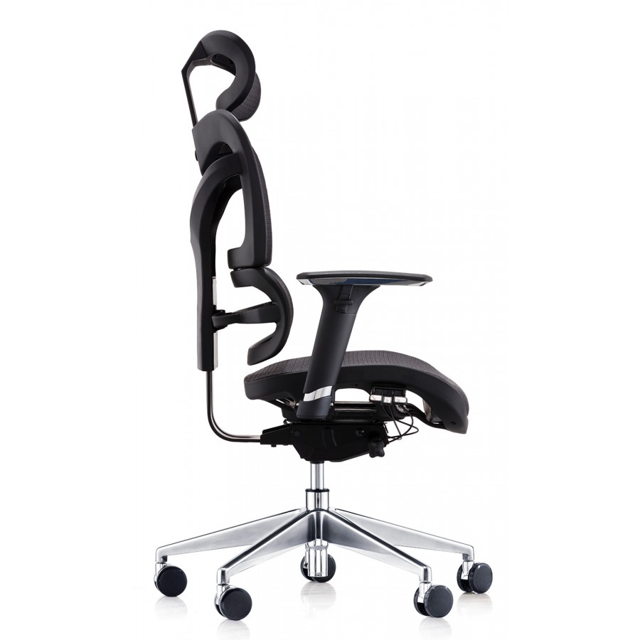 Delta 24 Hour Ergonomic Posture Mesh Office Chair